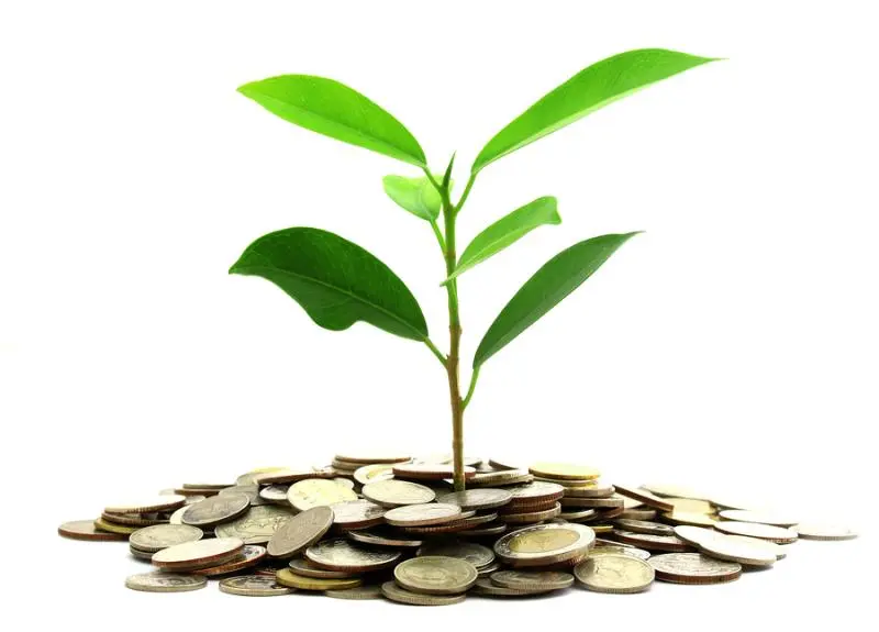 Инвестиции SKF в сохранение экологии | Свежие новости в Туле