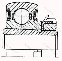 Модификация подшипника 1680205 размер 25x62x18/31 от производителя  ГПЗ-23